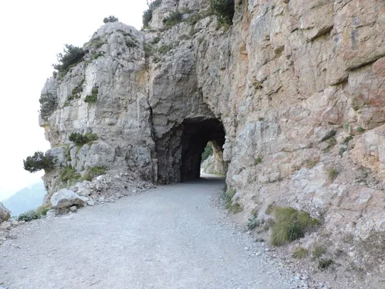 Cima Carega - dettaglio del segnavia 109