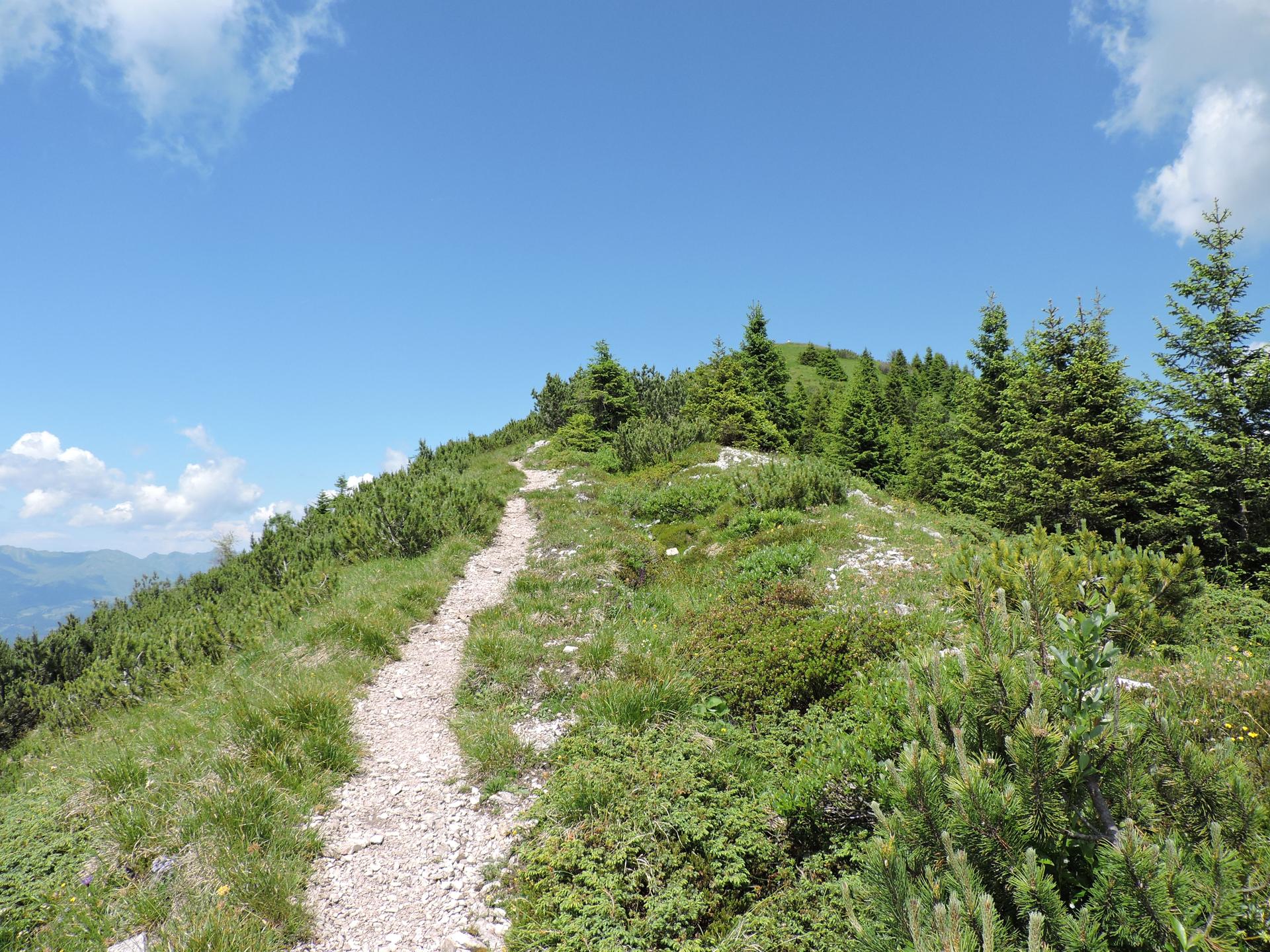 Cima Larici