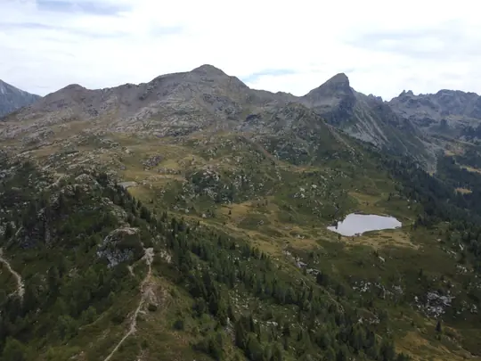 Immagini dal drone
