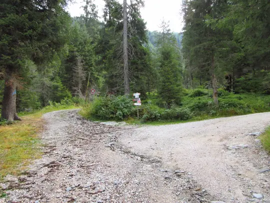 Al bivio proseguiamo verso il Rifugio Malga Consèria