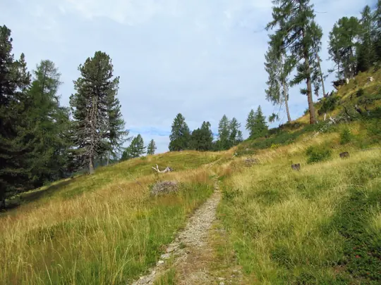 Usciti dal bosco il panorama inizia ad aprirsi