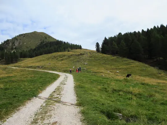 Dettaglio della strada e dell'inizio del sentiero