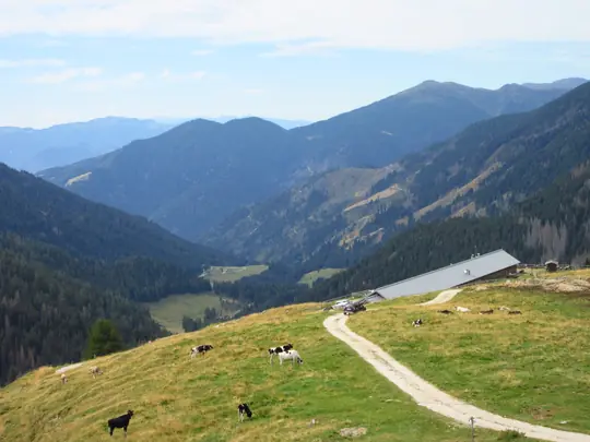 Malga Consèria vista dall'alto