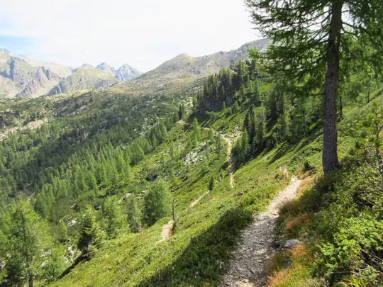 Dettaglio del sentiero che scende verso i laghi