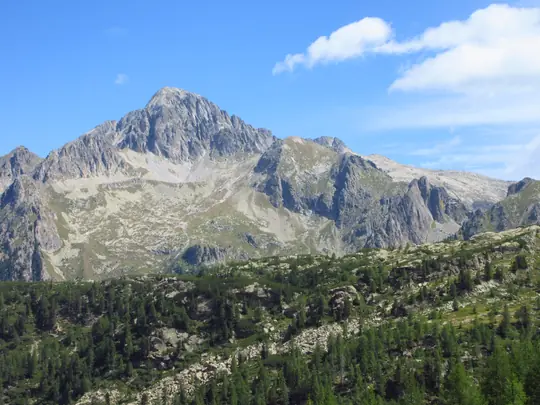 Cima d’Asta domina il panorama