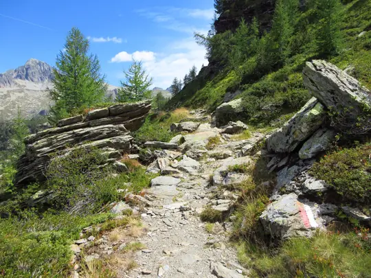 Il sentiero verso i Laghi di Lasteati