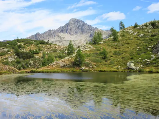 Cima d'Asta si specchia