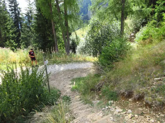 Raggiunta la strada forestale proseguiamo verso destra