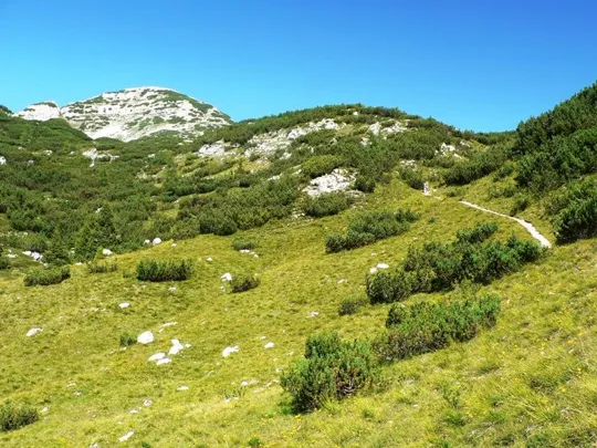 Dettaglio del percorso