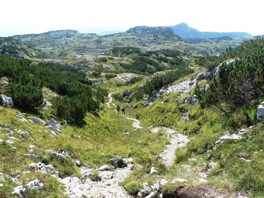 Dettaglio del percorso