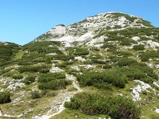 Dettaglio del percorso