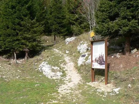 Novegno - Cima Alta, inizio del sentiero