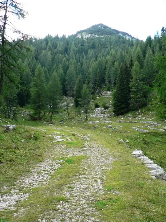 Cima Caldiera - carrareccia
