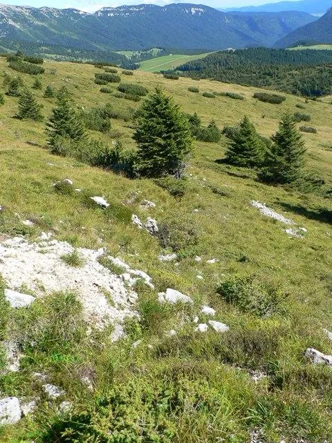 Cima Manderiolo - resti di trincee