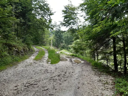 Procedere dritto (la strada a destra)