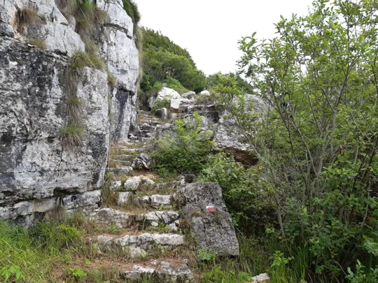 Scalinata sul sentiero