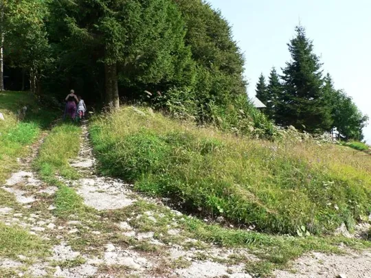 Inizio del sentiero 661