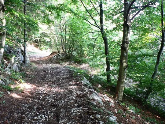 Dettaglio del sentiero