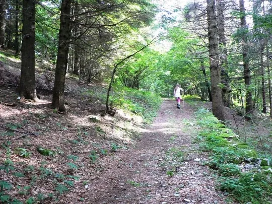 Dettaglio del sentiero