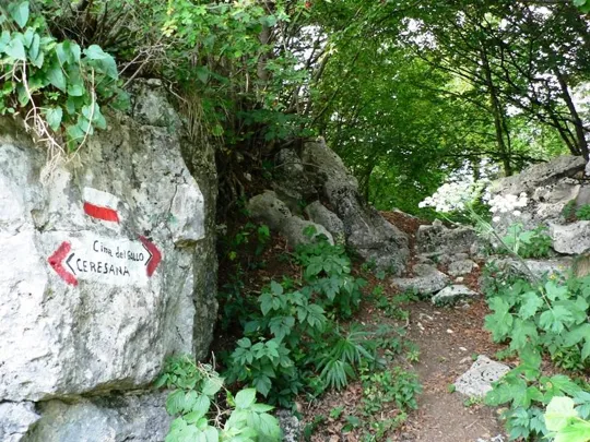 Dettaglio del sentiero