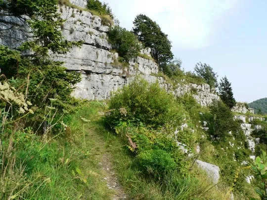 Dettaglio del sentiero