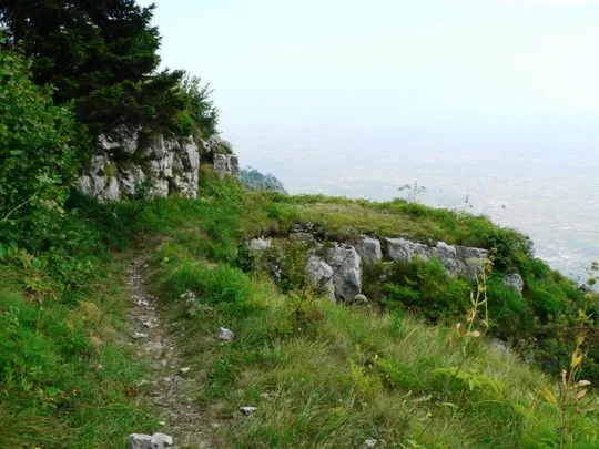 Dettaglio del sentiero