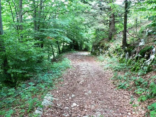 Dettaglio del sentiero