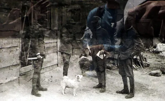 Baracche di legno e cartone catramato