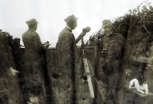 Trincea osservatorio: protetta con tronchi e frasche