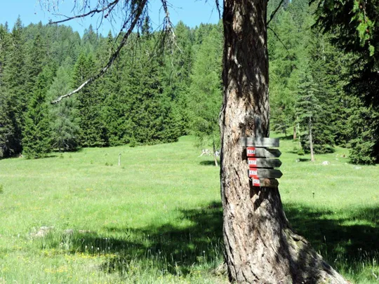 Cinque Torri - inizio del sentiero 437