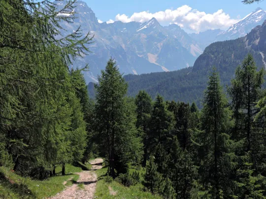 Cinque Torri - strada serrata