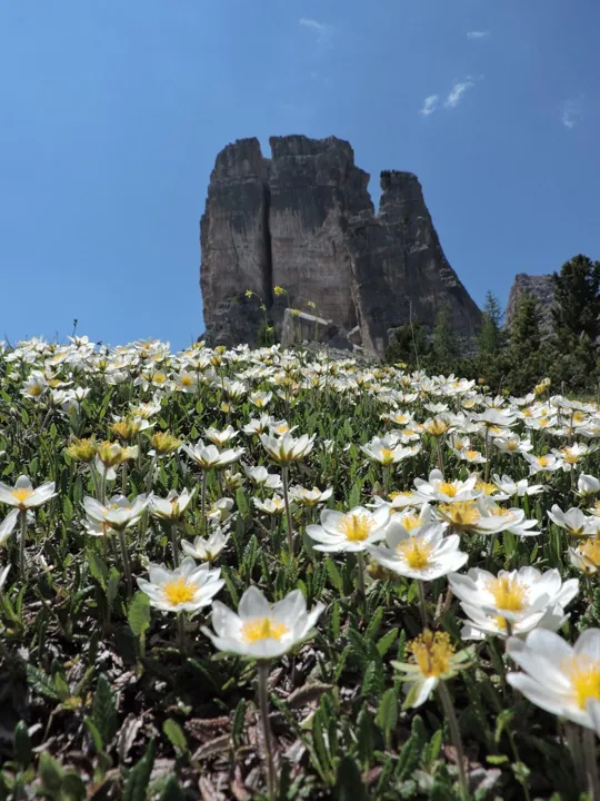 Cinque Torri - Torre Grande