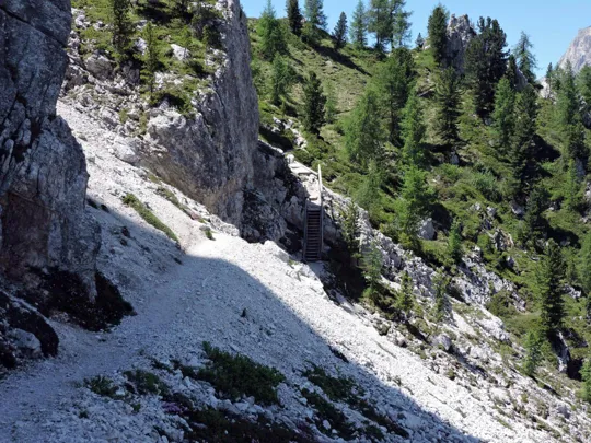 Cinque Torri - scala in legno