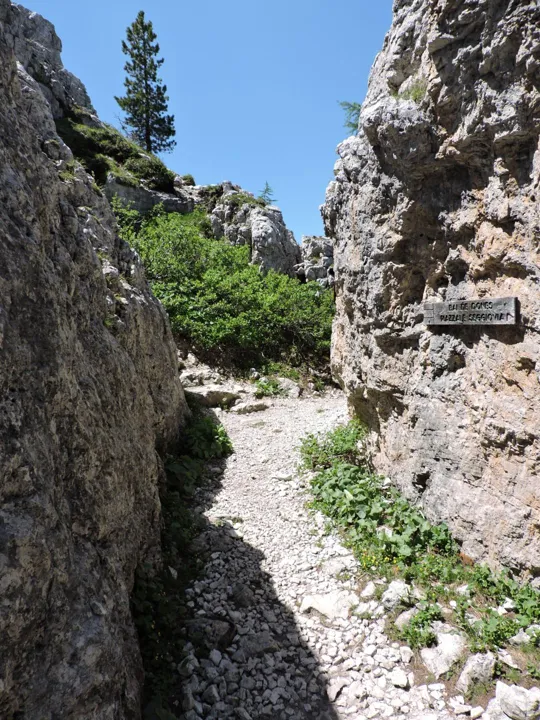 Cinque Torri - sentiero