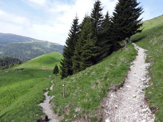 Dettaglio del sentiero