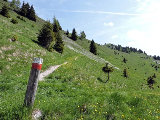 Dettaglio del sentiero