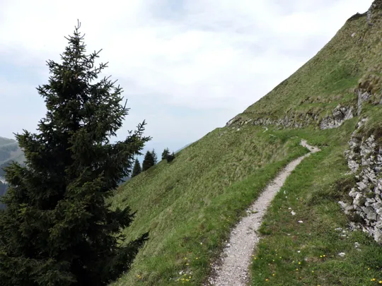 Dettaglio del sentiero