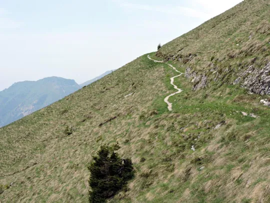 Dettaglio del sentiero