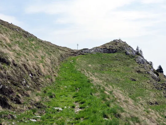 Dettaglio del sentiero