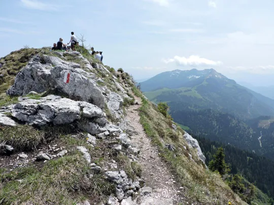 Dettaglio del sentiero