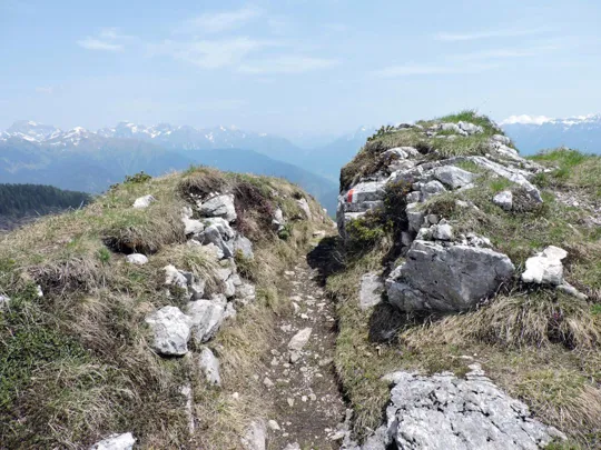 Dettaglio del sentiero