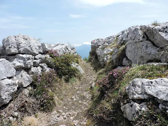 Dettaglio del sentiero