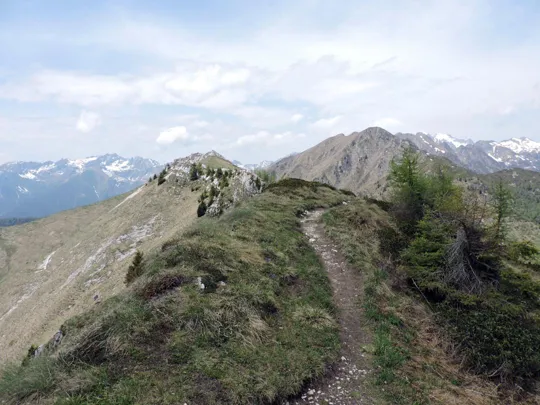 Dettaglio del sentiero