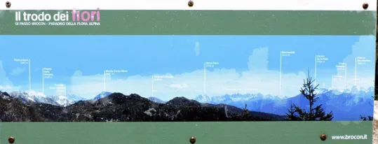 Dettaglio del sentiero