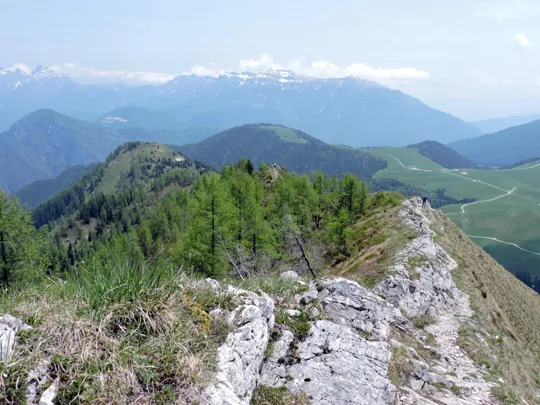 Dettaglio del sentiero