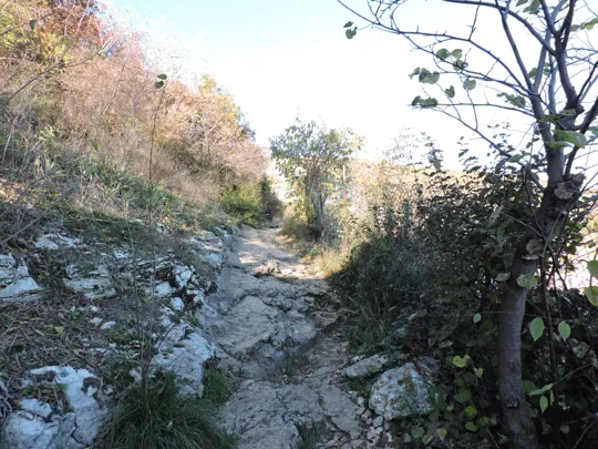 Dettaglio del sentiero