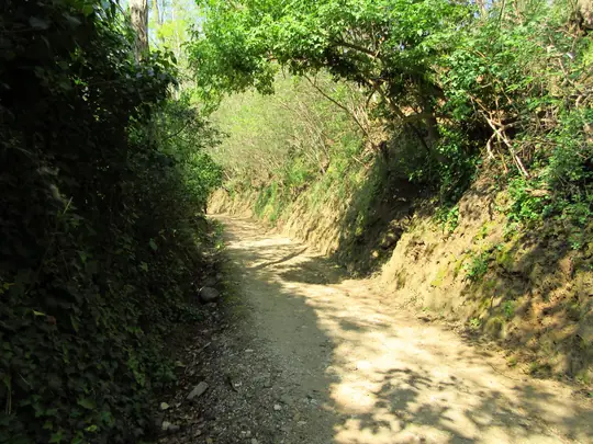 Dettaglio del percorso