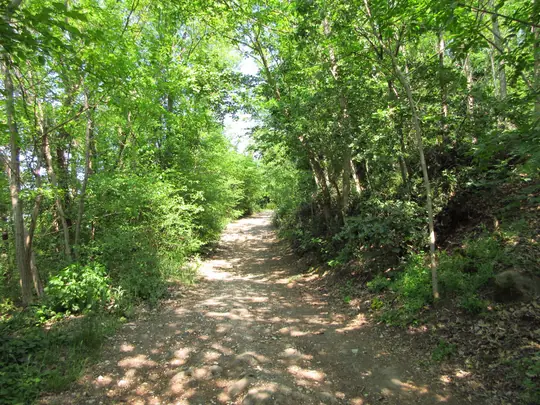 Dettaglio del percorso