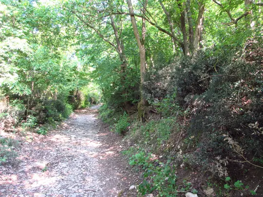 Dettaglio del percorso