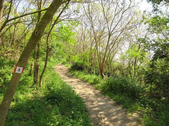 Dettaglio del percorso